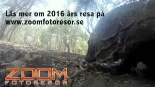 Fotomässan 2015: Vi intervjuar Zoom fotoresor om hållbart resande