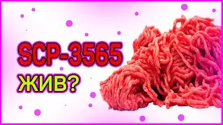 SCP-3565 ЖИВ? || Мистика || SCP Foundation || VeR BaN || Creppypasta