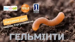 Питання дня - Поговоримо про гельмінтів🪱