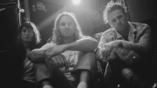 Venus Fly Trap - Faint Echoes OFFICIAL VIDEO