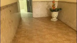 הדברה לבניין בחולון - 055-937-8507 - המדביר שמציל