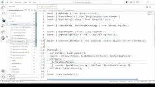 Ionic 6 Angular - Screen orientation