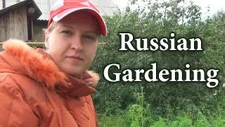 Russian culture - gardening, russian dacha, русский сад, русская дача, Russian garden