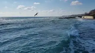 Odesa 17 March. Ukraine. Sea