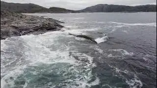 Баренцево море, Ледовитый океан, Кольский полуостров, Мурманская область
