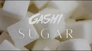 GASHI - Sugar (Unreleased)