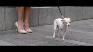 Креативная реклама Philips - Настоящие герои