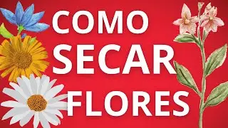 COMO SECAR FLORES FÁCIL E DESMOLDANDO RESINA EPÓXI
