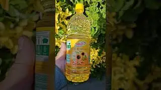 V-Basto Project, tonight video test on the Cinebasto with frying oil.