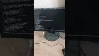 26 июня 2023 г.
