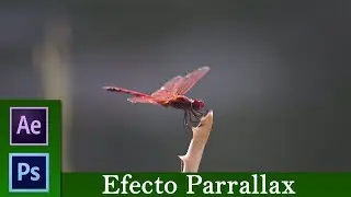 Tutorial Efecto Parallax After Effects y Photoshop