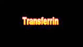 What Is The Definition Of Transferrin