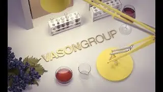 VasonGroup - Research, Innovation, People