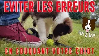 Eviter les ERREURS d'éducation avec son Chiot Vol.1