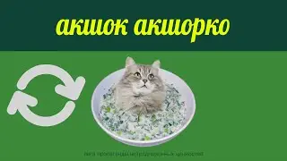 КОШКА - ОКРОШКА, НО НАОБОРОТ / CAT - OKROSHKA, BUT REVERS