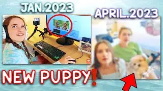 The Norris Nuts are getting ANOTHER 🌟Puppy🌟 ?! *Did you notice these clues?*