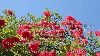 2022 청년 기도주일 낭독문 | 포스트 코로나 시대의 재림 청년 |직업 준비| 낭독 박슬기