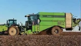 Arrachage de pomme de terre avec une Avr Puma +