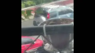 Bird 🦅 playing in the soil