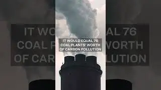 Stop the Willow Project