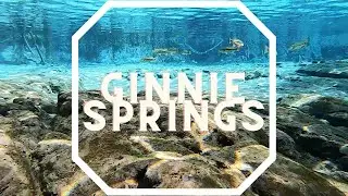 GINNIE SPRINGS | Best Spring In Florida