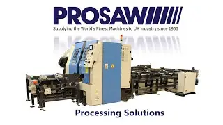 Prosaw Processing Solutions