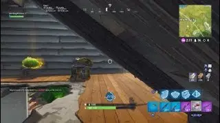 Fortnite_20181116220704