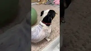 the child was talking