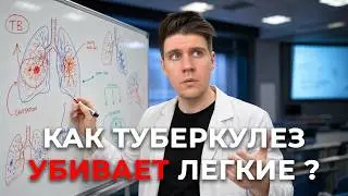 Туберкулез лёгких / Патогенез, формы, диагностика / Патология