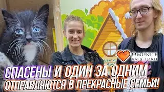 Спасены и один за одним отправляются в прекрасные семьи!  Аксель