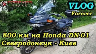 #VlogForever