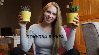 Покупки из магазина IKEA