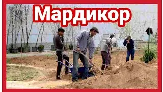 Мардикор - Mardikor  ЖУДА ХАМ ТАЪСИРЛИ ХИКОЯ