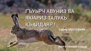 ГЪУЬРЧ ЯГЪУНИЗ ВА ЯКlАРИЗ ТАЛУКЬ КЪАЙДАЯР !Сабир Мустафаев.