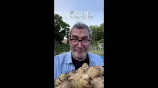 August Allotment Jobs