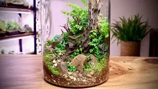 Making a Tree Trunk Terrarium