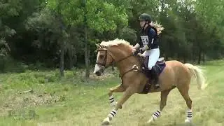 Ella Scherer & Sueno De Oro at Indiana Eventing Classic 3 Day and Horse Trials 2023