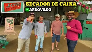 SECADOR DE CAFÉ DE ALTA QUALIDADE