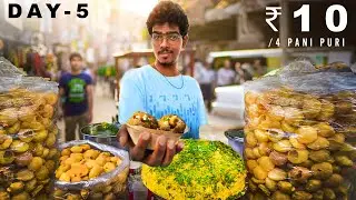 Turning ₹10 to ₹10,000 in 10 days - Day 5