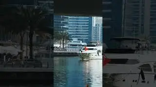 Dubai Marina         