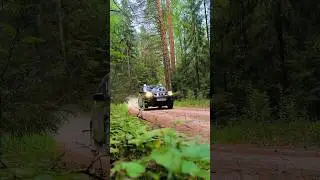 Катаюсь по сосновым борам на севере пермского края