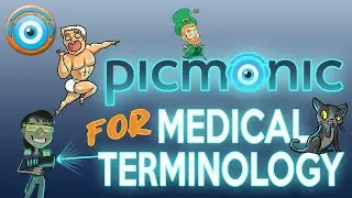 Medical Terms: Remember Faster than Ever!
