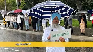 BC Tree Fruits protest