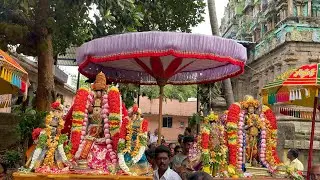 Thiruvali-Thirunagari Sri Vayalali Manavalan, Sri Thirumangai Azhwar Vasantha Utsava Purappadu