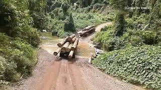 logging truk