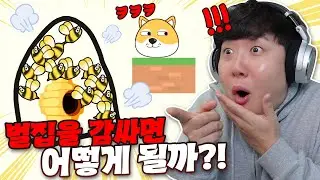광고에 주구장창 나오는 열받는 강아지지키기🐶 직접 해봤습니다
