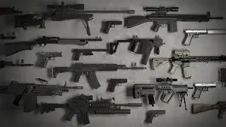 Skeptical, VSR - Assault Rifle (The Beginning)