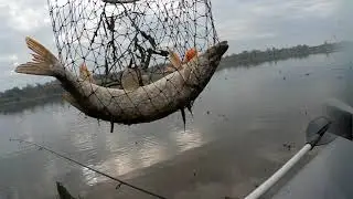 Осенняя раздача ЩУКИ!
