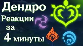 Коротко про Дендро реакции| Стимуляция| Бутонизация| Обострение|Цветение| Геншин Импакт 3.0