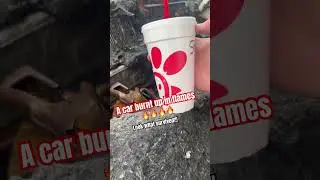 New Stanley Chicfila cups are invincible!!!!